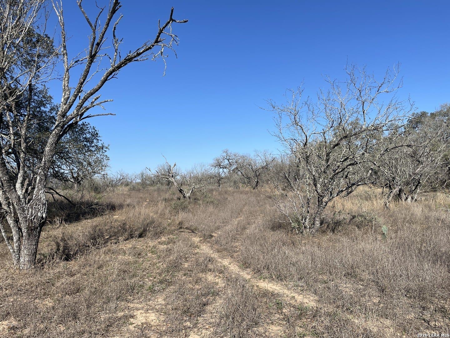 12.31 acres in Medina County - photo 2
