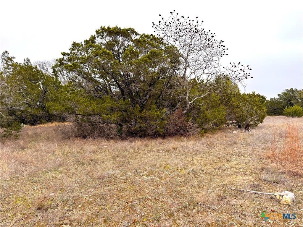 0.22 acres in Blanco County - photo 8