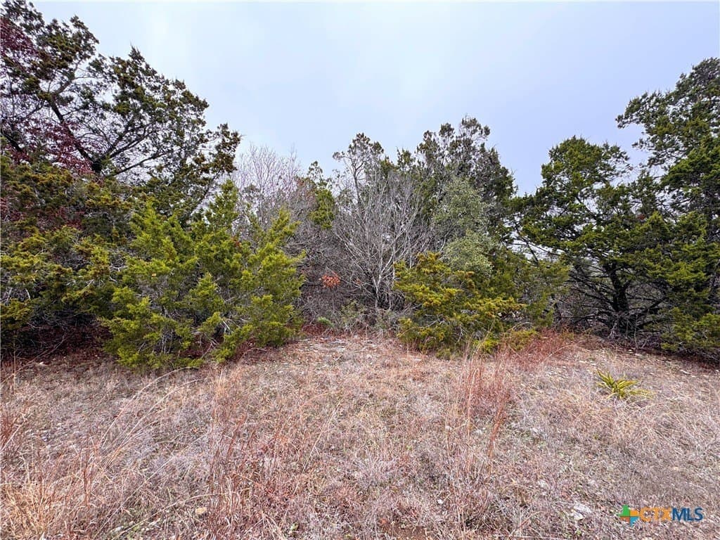 0.22 acres in Blanco County - photo 11