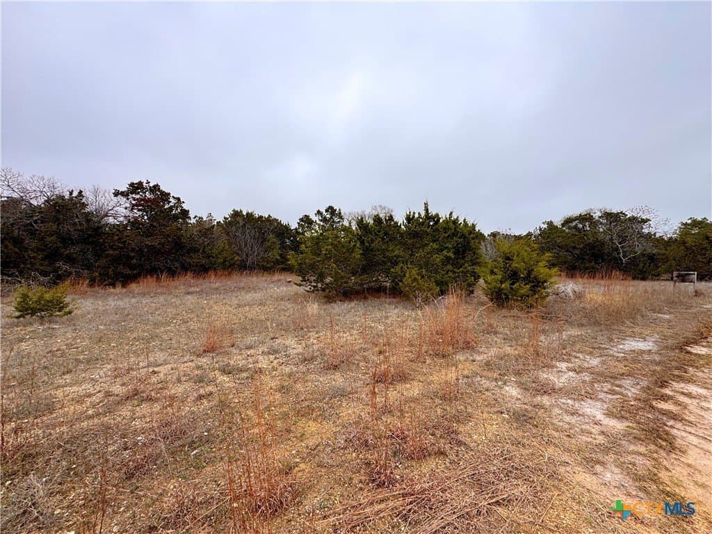0.22 acres in Blanco County - photo 6