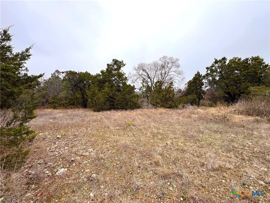 0.22 acres in Blanco County - photo 9