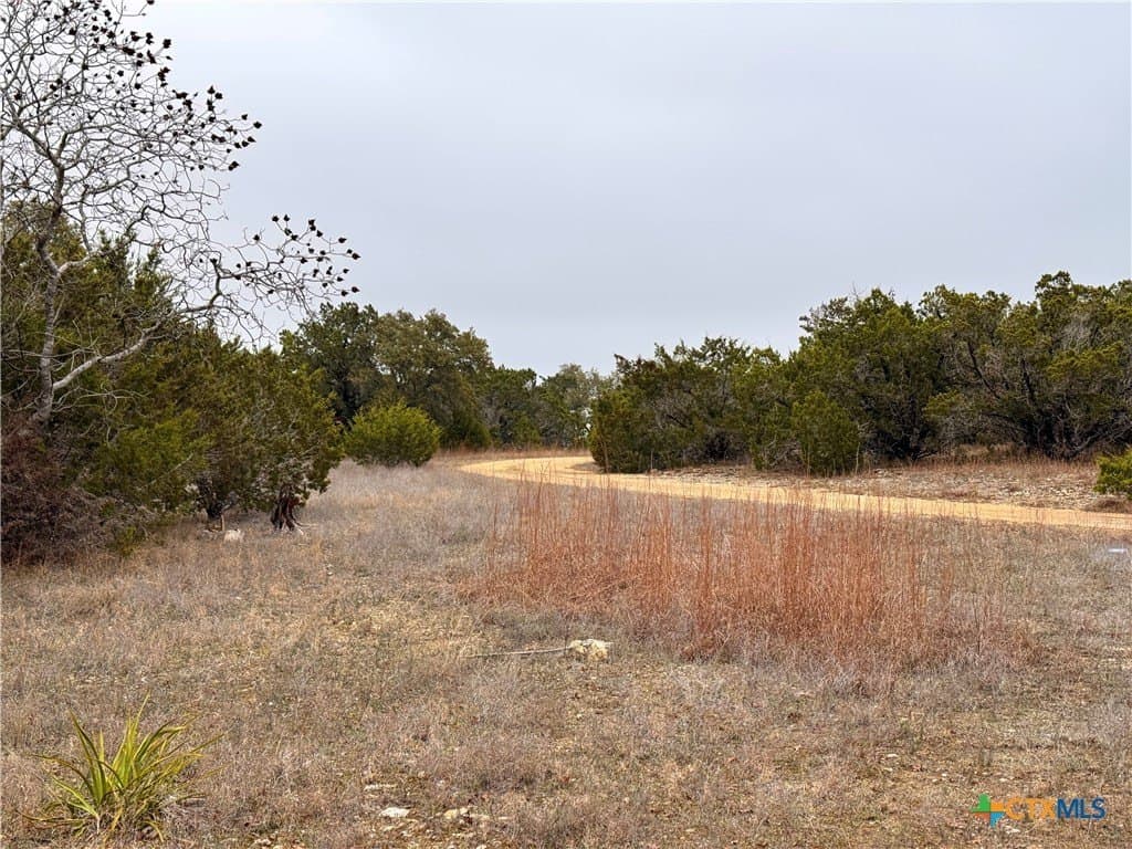0.22 acres in Blanco County - photo 7