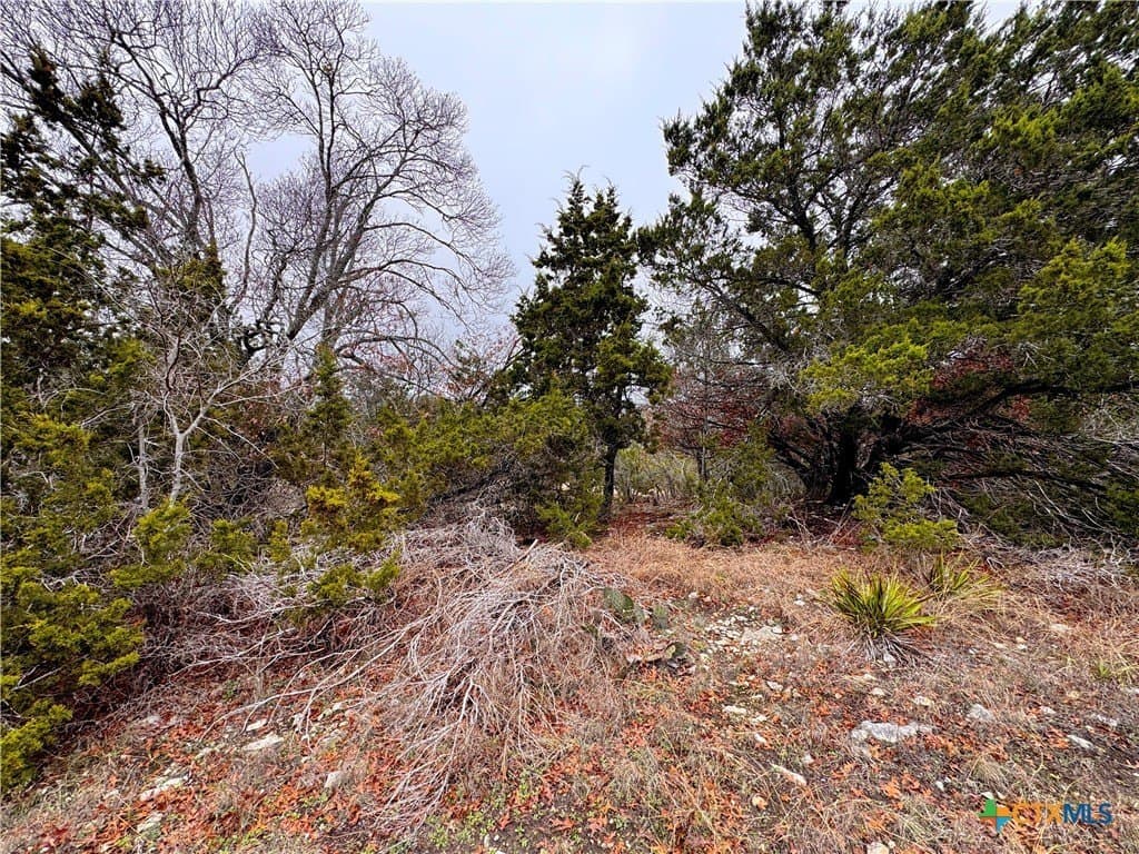 0.22 acres in Blanco County - photo 10