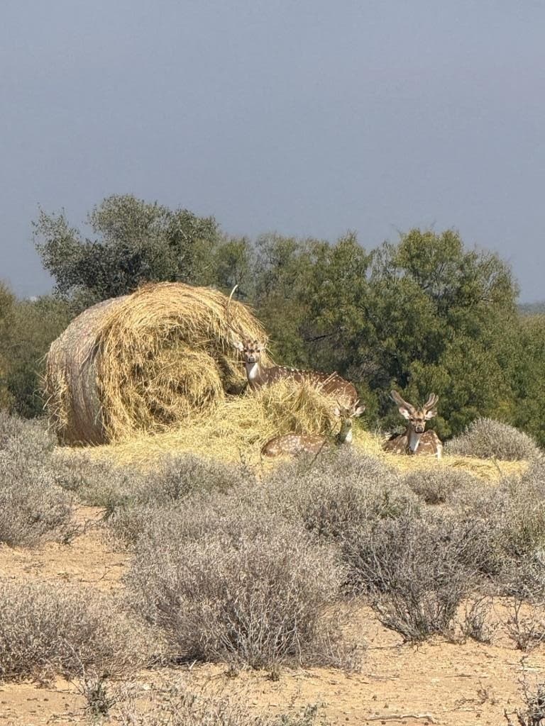 40.42 acres in Maverick County - photo 33