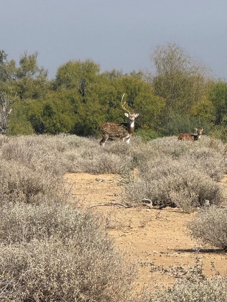40.42 acres in Maverick County - photo 32
