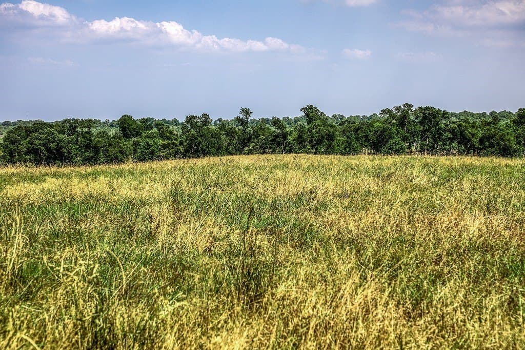 64.48 acres in Washington County - photo 7