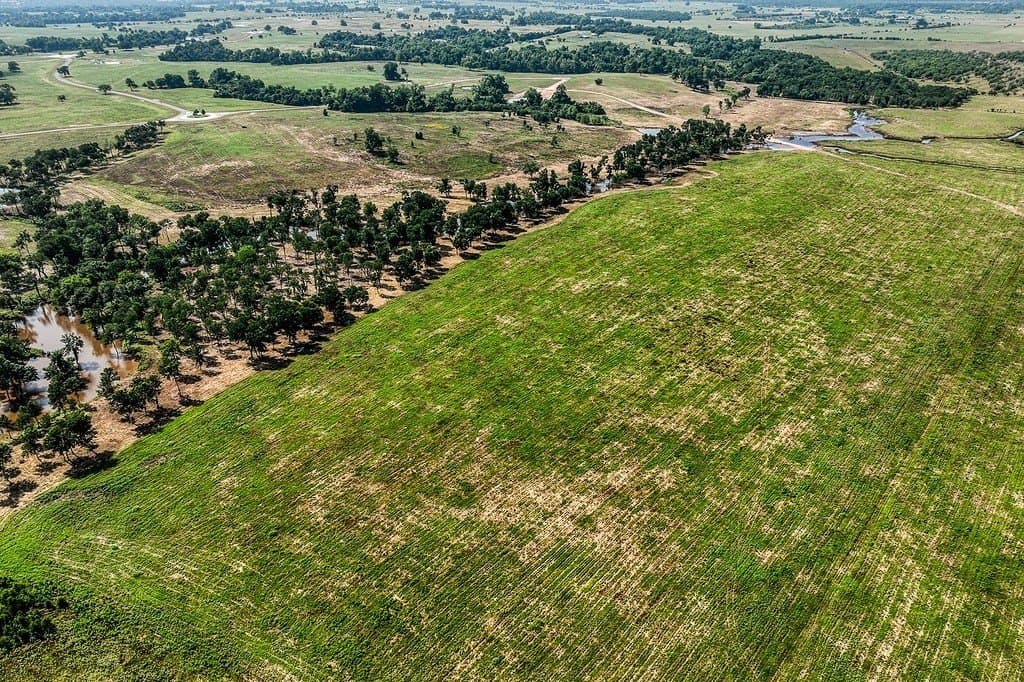 64.48 acres in Washington County - photo 2