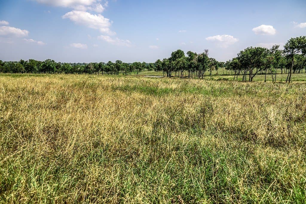 64.48 acres in Washington County - photo 9