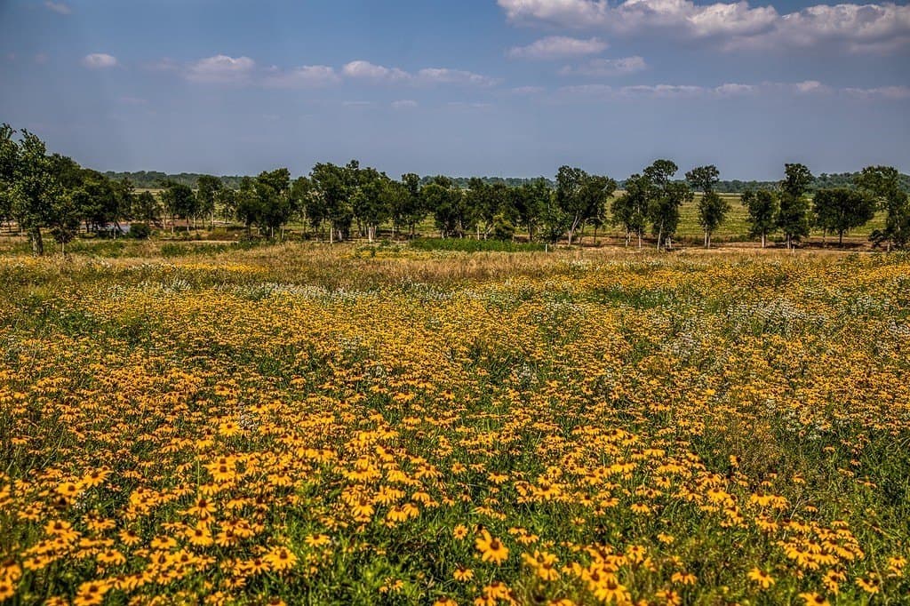 64.48 acres in Washington County - photo 5