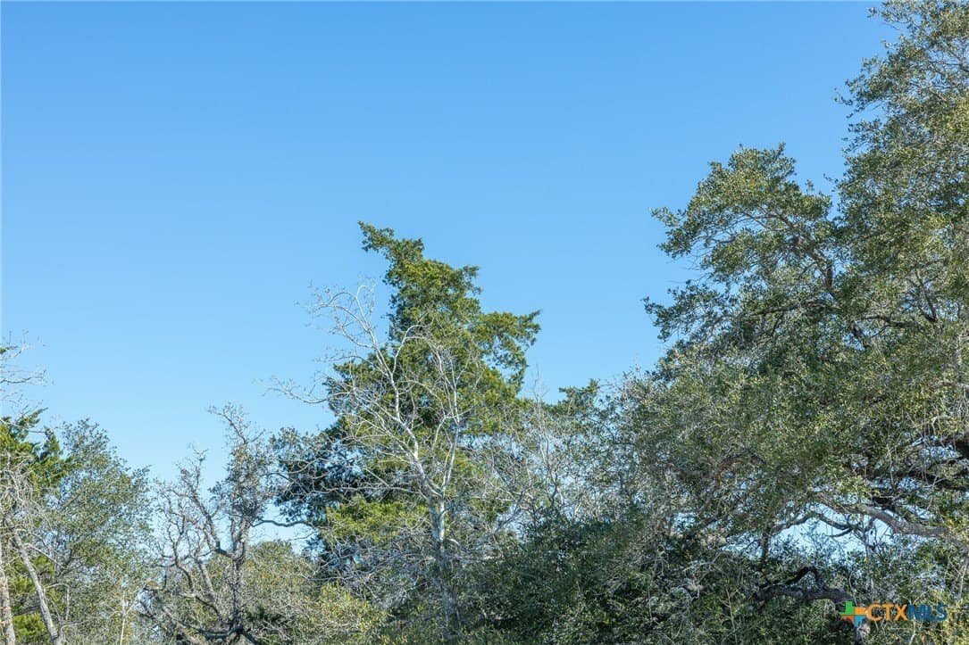 32.93 acres in Victoria County - photo 4