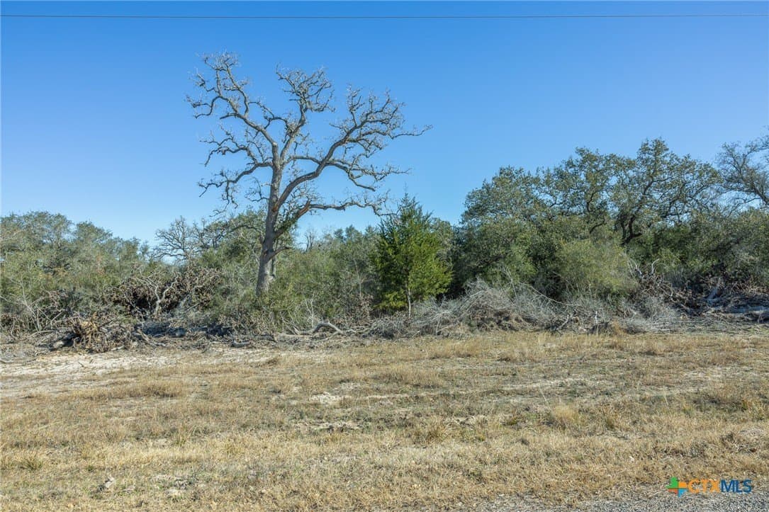 32.93 acres in Victoria County - photo 6