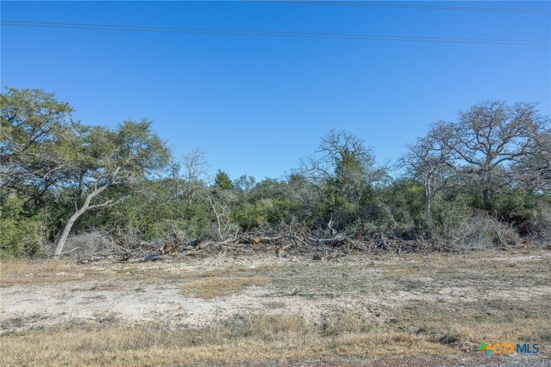 32.93 acres in Victoria County - photo 5
