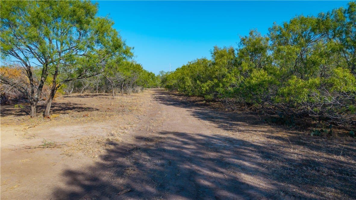 20 acres in Atascosa County - photo 37