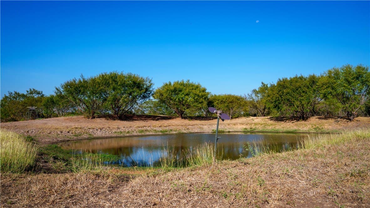 20 acres in Atascosa County - photo 6