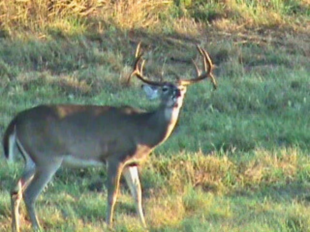 20 acres in Atascosa County - photo 9