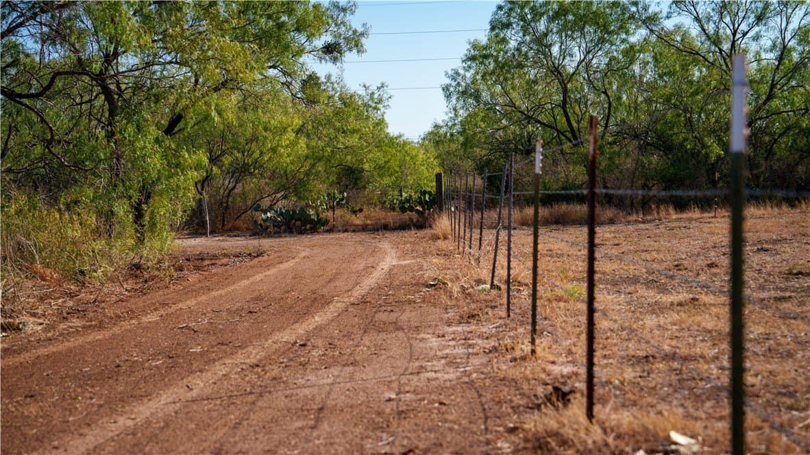 20 acres in Atascosa County - photo 40
