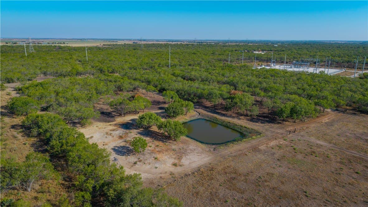 20 acres in Atascosa County - photo 8