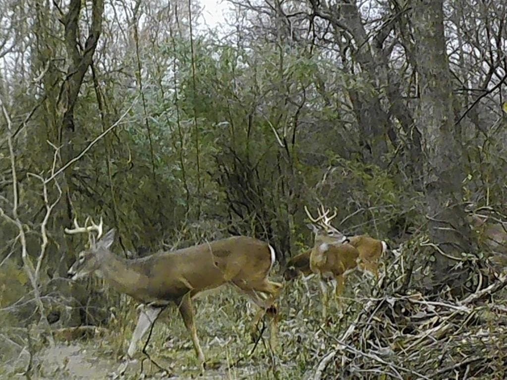 228.61 acres in Franklin County - photo 27