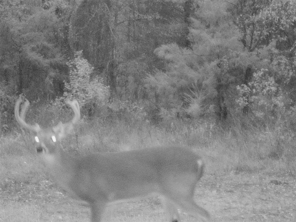 228.61 acres in Franklin County - photo 38