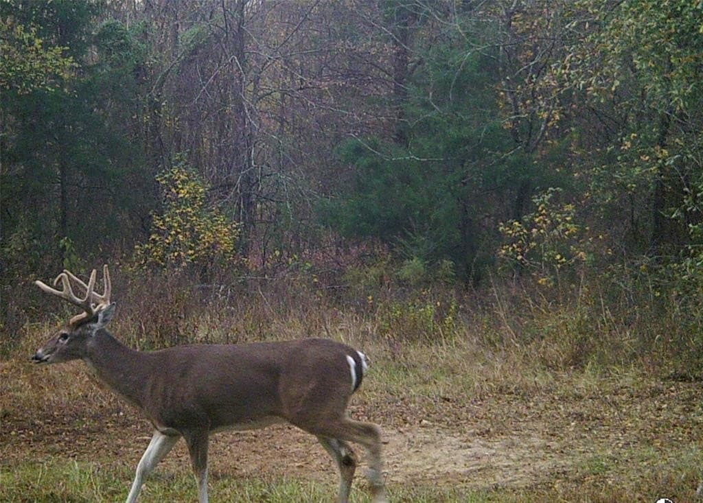 228.61 acres in Franklin County - photo 36