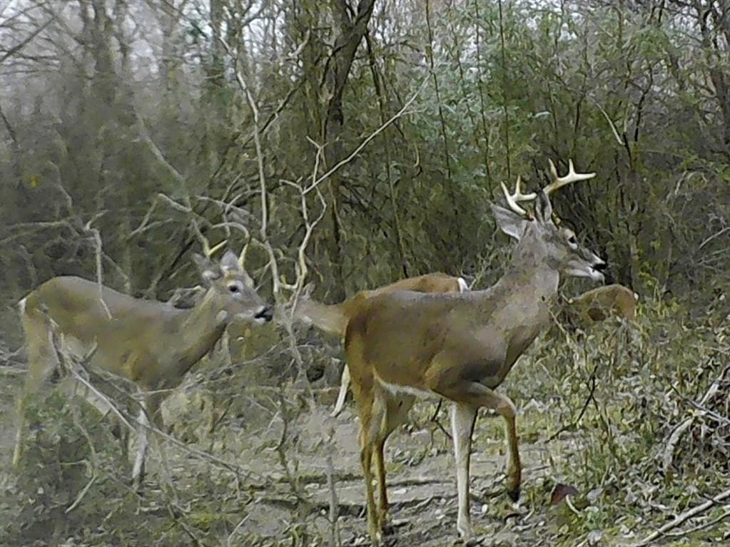 228.61 acres in Franklin County - photo 32