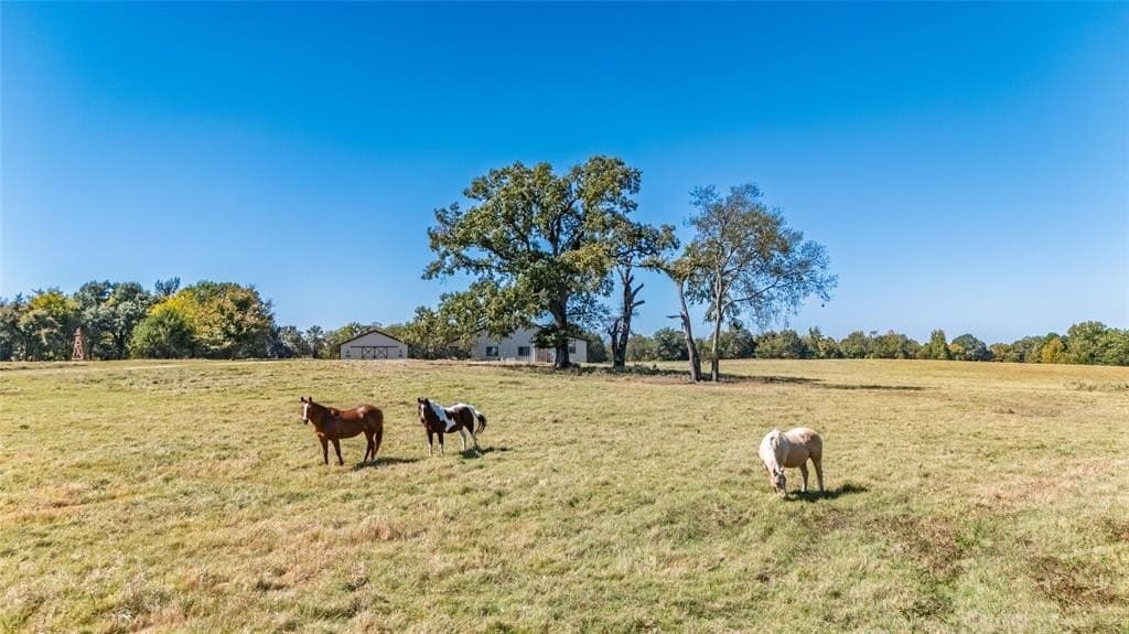 228.61 acres in Franklin County - photo 21