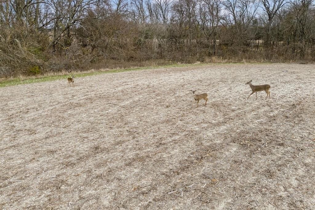 51 acres in Collin County - photo 13