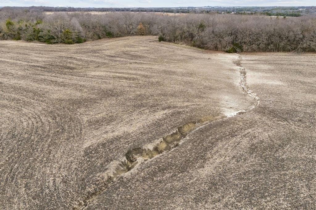 51 acres in Collin County - photo 12