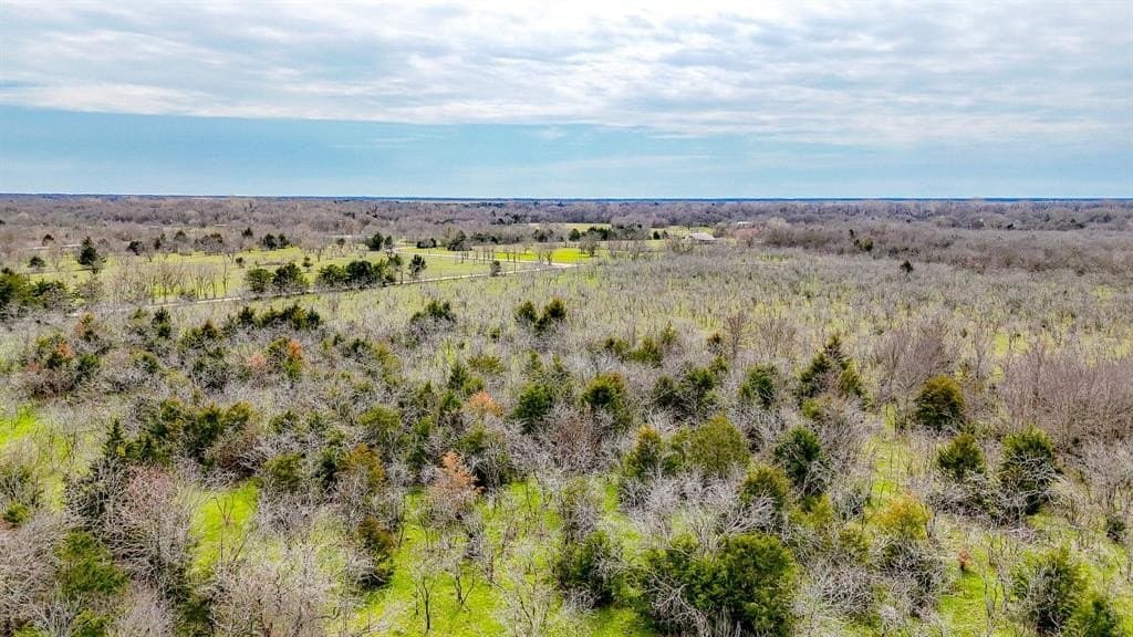 71.04 acres in Navarro County - photo 11