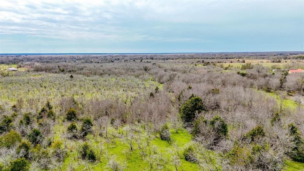 71.04 acres in Navarro County - photo 10