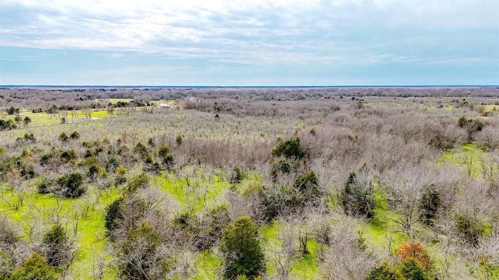 71.04 acres in Navarro County - photo 9