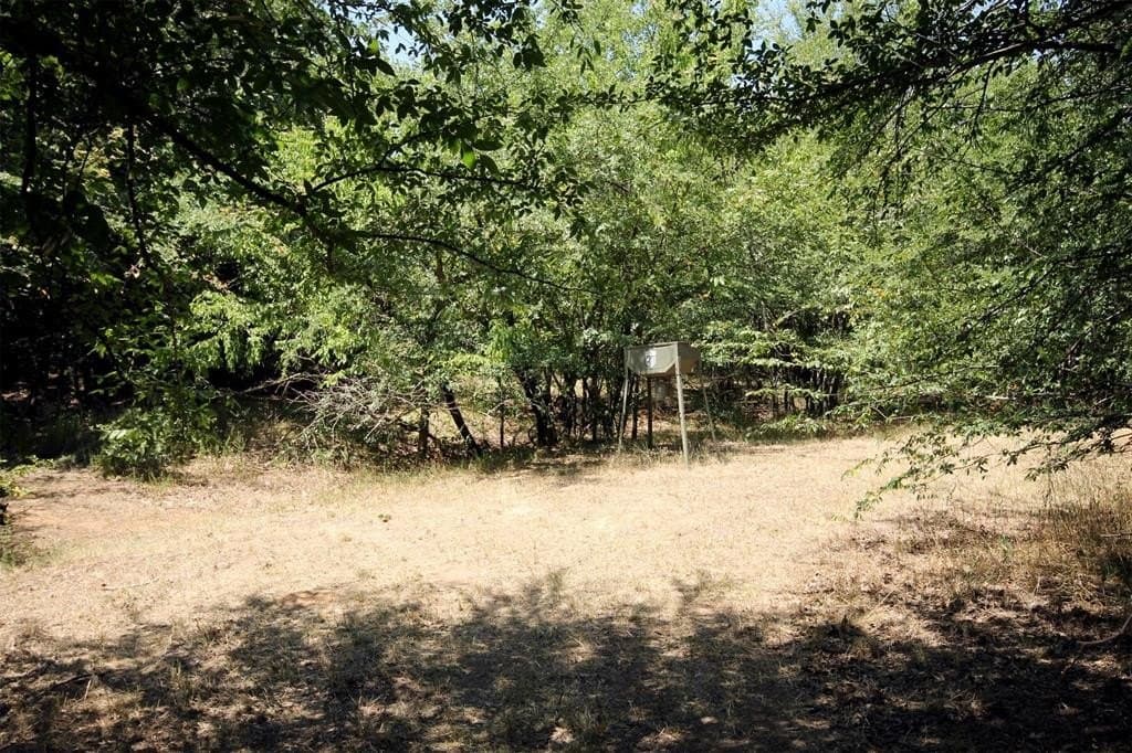 16.72 acres in Denton County - photo 15