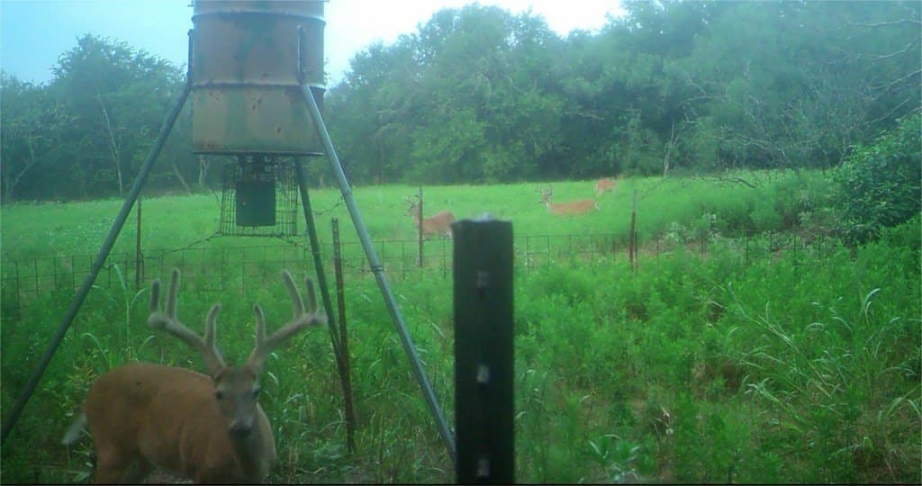 16.08 acres in Navarro County - photo 19