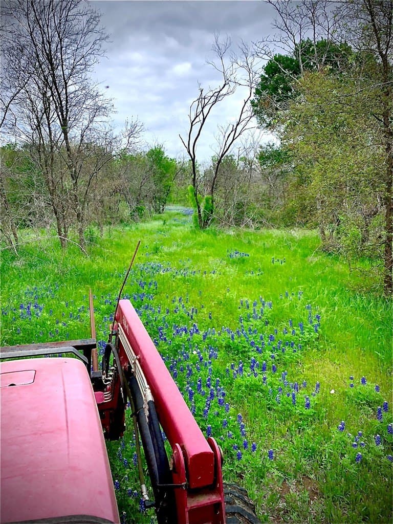 16.08 acres in Navarro County - photo 25