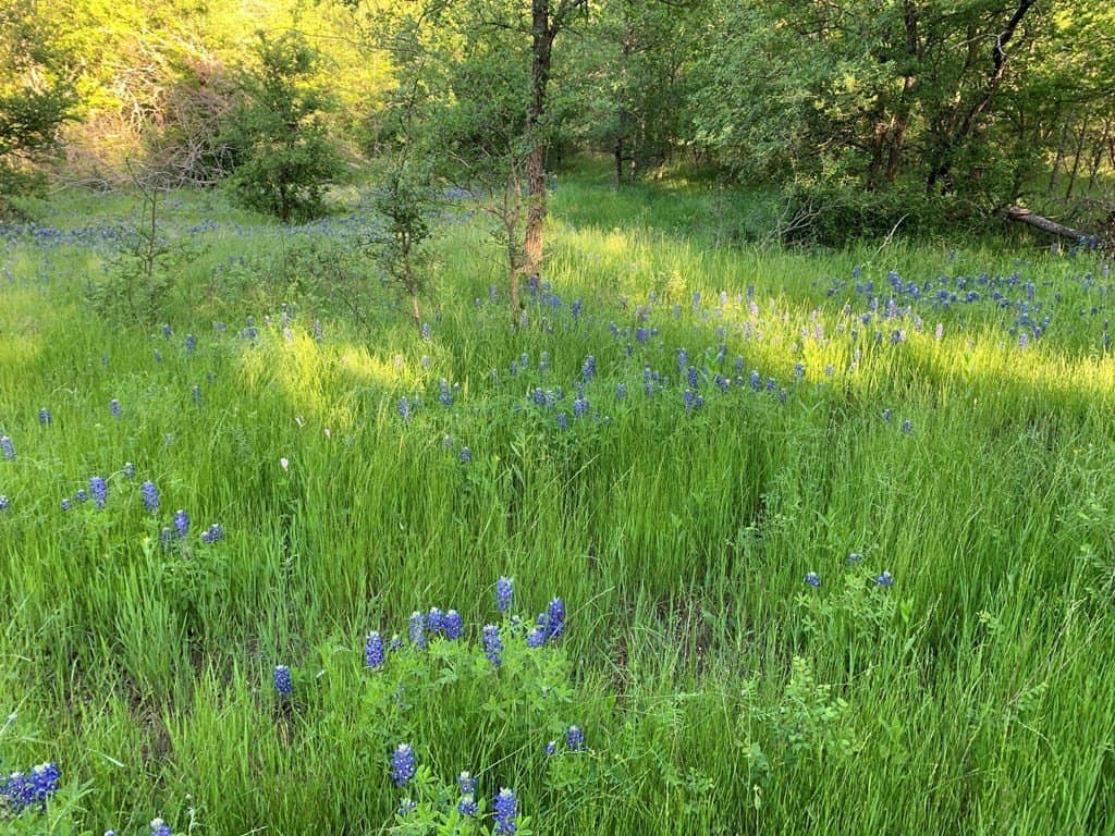 16.08 acres in Navarro County - photo 22