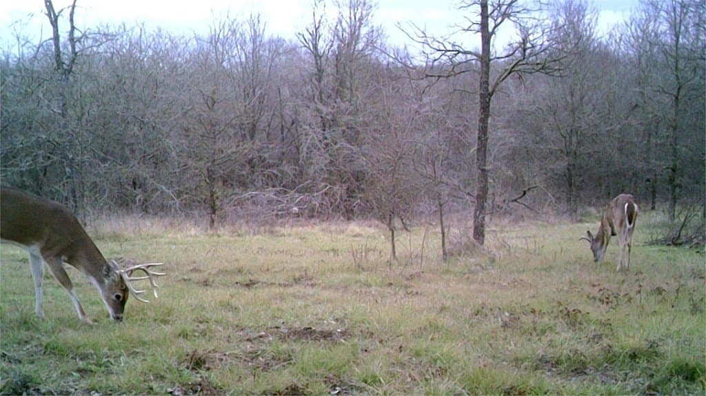 16.08 acres in Navarro County - photo 30