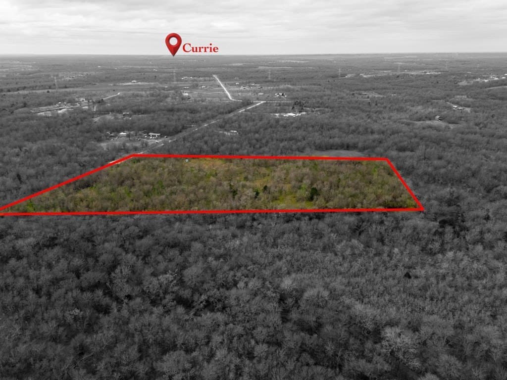 16.08 acres in Navarro County - photo 13