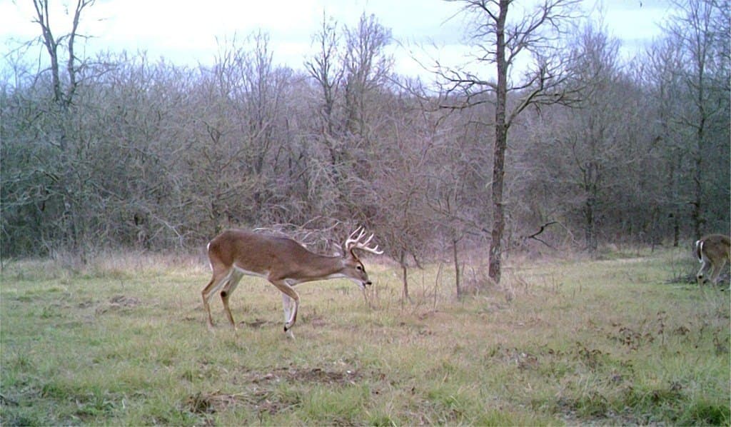 16.08 acres in Navarro County - photo 29