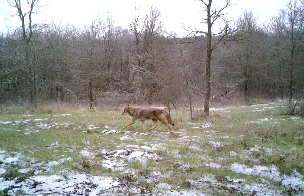 16.08 acres in Navarro County - photo 36