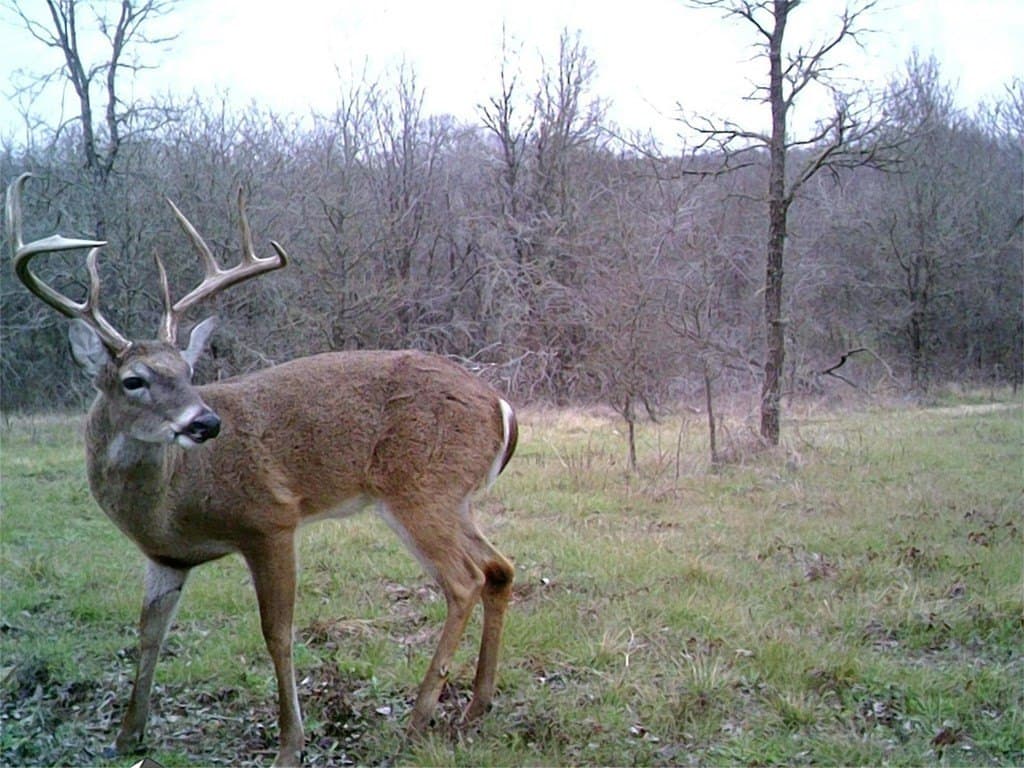 16.08 acres in Navarro County - photo 31