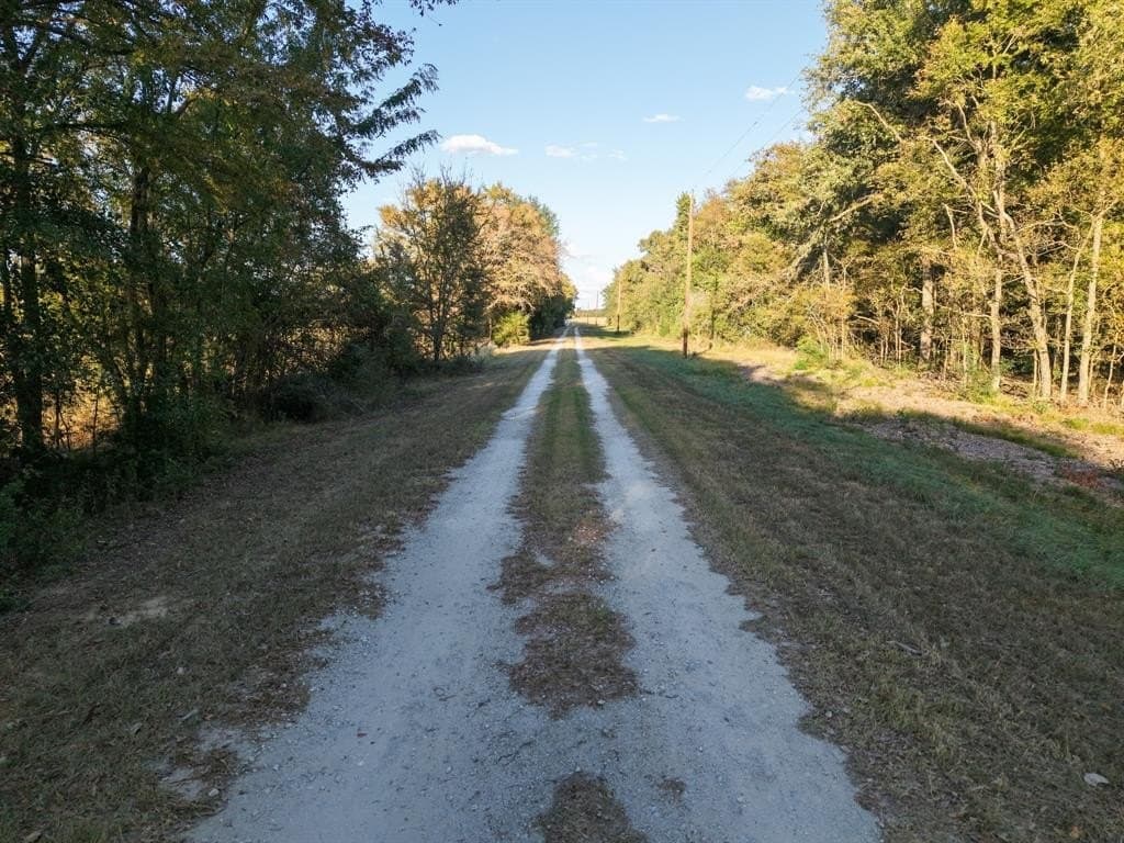 1.12 acres in Limestone County - photo 15