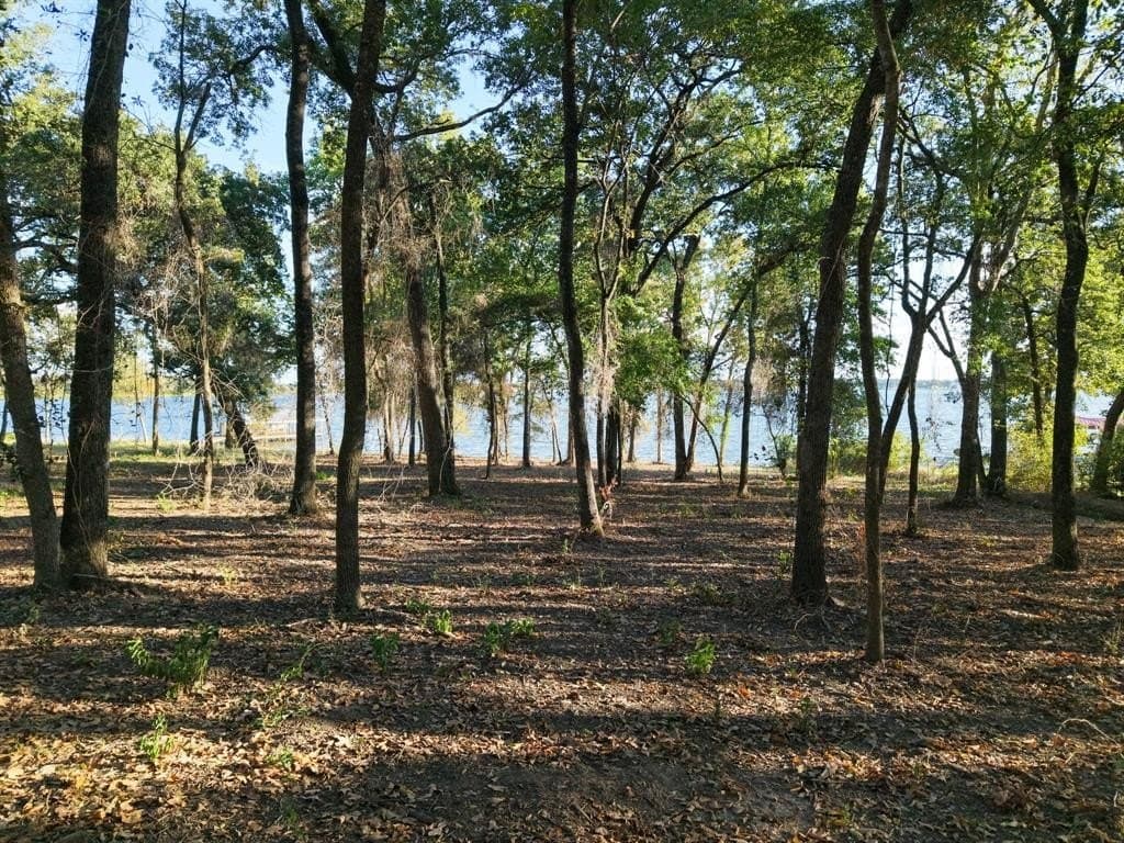 1.12 acres in Limestone County - photo 3