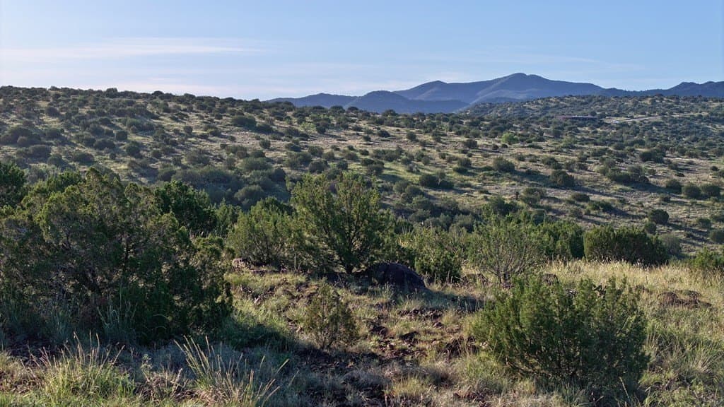 25.92 acres in Brewster County - photo 2