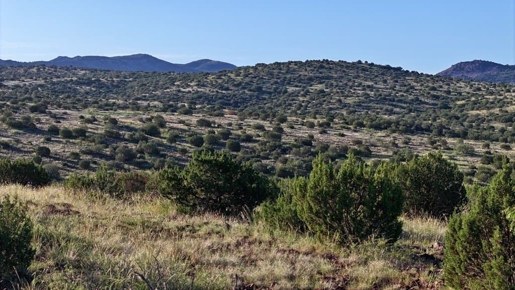 25.92 acres in Brewster County - photo 3