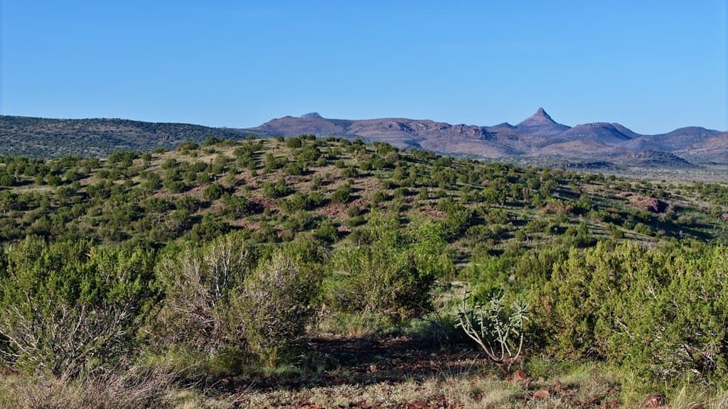25.92 acres in Brewster County - photo 7