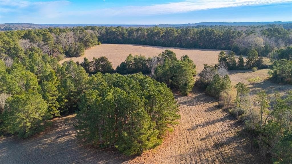 90 acres in Rusk County - photo 21