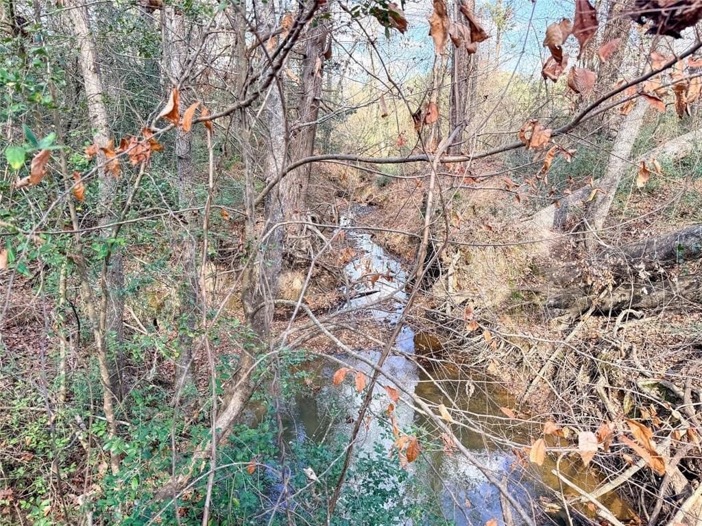 90 acres in Rusk County - photo 40