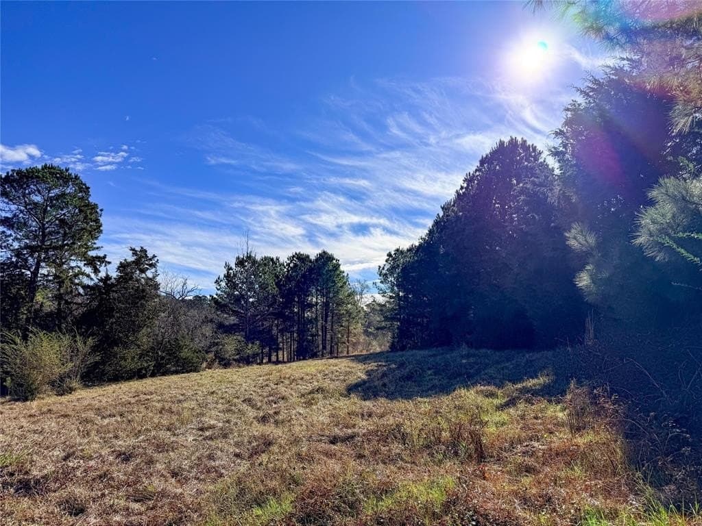 90 acres in Rusk County - photo 36