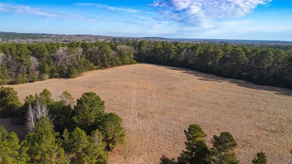 90 acres in Rusk County - photo 31