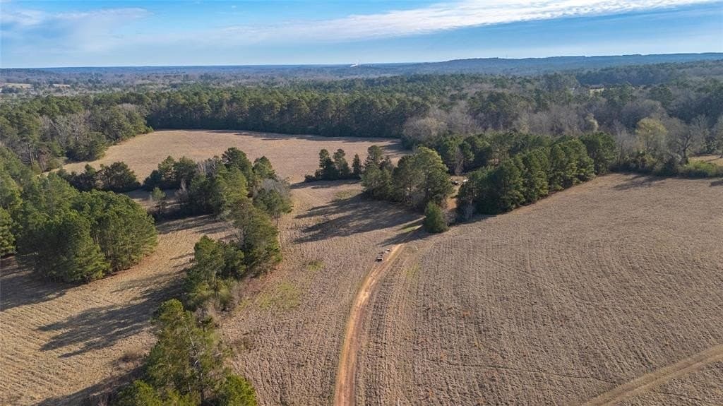 90 acres in Rusk County - photo 24